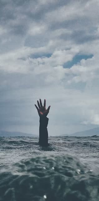 Image by Lina Trochez